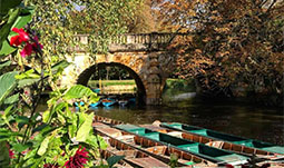 Athena - Magdalen College