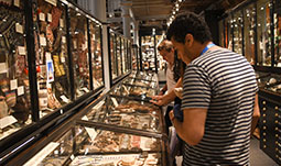 Athena - Pitt-Rivers Museum